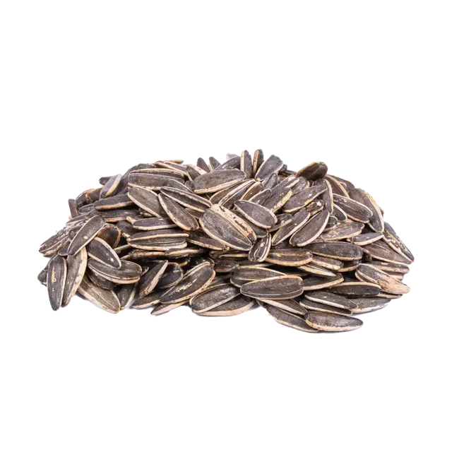 تخمه آفتاب گردادن شور درجه یک